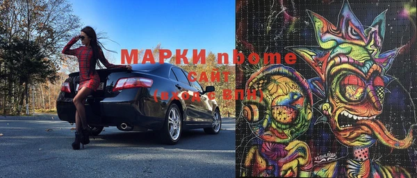 прущие грибы Белокуриха