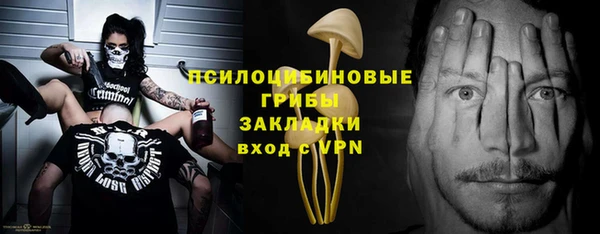 прущие грибы Белокуриха
