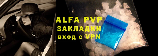 прущие грибы Белокуриха