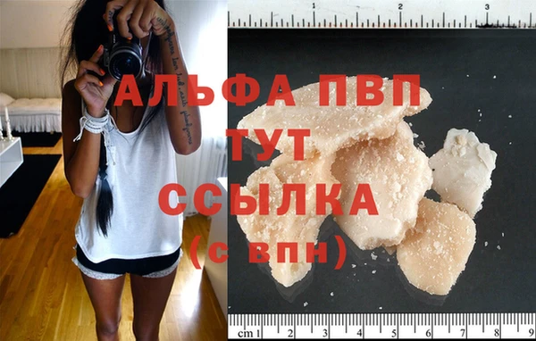 эйфоретик Беломорск