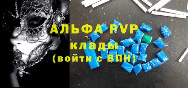 прущие грибы Белокуриха