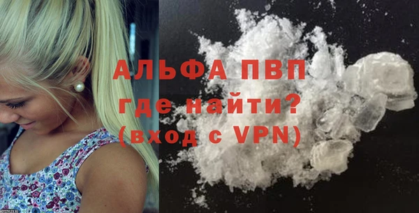 прущие грибы Белокуриха