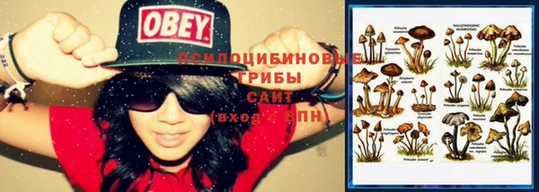 соль ск Белоозёрский