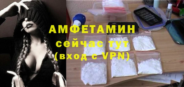 прущие грибы Белокуриха