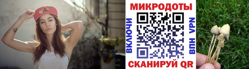 Галлюциногенные грибы MAGIC MUSHROOMS  даркнет как зайти  Козельск 